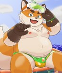 anthro belly blush bulge clothing detailed_bulge eyebrows eyewear fur goggles male navel nipples orange_body orange_fur overweight sitting solo speedo surfboard swimwear thick_eyebrows hiroki33728 tamacolle iyo_(tamacolle) canid canine fox mammal hi_res