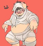 anthro belly blush clothing costume halloween_costume holidays kemono male mummy_costume mummy_wrappings overweight overweight_male simple_background solo inunoshippo halloween domestic_pig mammal suid suina sus_(pig) 2024