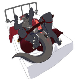 anal anal_penetration animal_genitalia anthro bdsm bed black_body blush bodily_fluids bondage bound claws cuff_(restraint) cum cum_drip cum_on_self dripping feet furniture genital_fluids genital_slit genitals handcuffed_to_bed handcuffs legs_tied long_penis long_tail lying male metal_cuffs object_in_ass on_back on_bed penetration penile penis rear_view restraints rope rope_bondage sex_toy sex_toy_in_ass sex_toy_insertion solo sweat sweatdrop tail tail_anus tapering_penis tied_to_bed tongue tongue_out vibrator vibrator_in_ass vibrator_on_penis gagaga_ram mythology dragon mythological_creature mythological_scalie scalie 2025 digital_drawing_(artwork) digital_media_(artwork) hi_res korean_description shaded