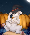 clothing feral food fruit hat headgear headwear holidays jewelry male moon necklace paws plant pumpkin sitting smile solo star snowstormbat halloween canid canine mammal absurd_res alternate_version_at_source hi_res