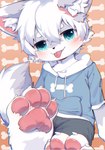 4_toes anthro black_bottomwear black_clothing black_shorts blue_clothing blue_eyes blue_hoodie blue_topwear blush blush_lines bone bone_background bone_print bone_print_clothing bone_print_hoodie bottomwear claws clothed clothing fangs feet fluffy fluffy_hair fluffy_tail foot_focus fur hair hindpaw hoodie inner_ear_fluff kemono looking_at_viewer male male_anthro naughty_face pattern_background pawpads paws print_clothing print_hoodie print_topwear shorts simple_background sitting solo tail teeth toe_claws toes tongue tongue_out topwear tuft white_body white_fur young young_male bananamilkbeer coke_(colawolf7) canid canine canis mammal wolf 2022 chromatic_aberration digital_drawing_(artwork) digital_media_(artwork) hi_res shaded