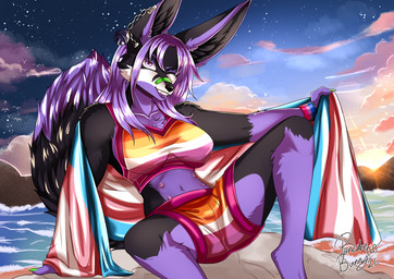 anthro band-aid bandage clothing female lgbt_pride pride_color_clothing pride_color_flag pride_colors sitting sitting_on_ground solo spread_legs spreading pancakebunny feyyore canid canine canis jackal mammal