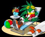 anthro ball beach_ball chair eyewear furniture inflatable lounge_chair male pool_toy simple_background solo sunglasses surfboard transparent_background vehicle watercraft yuji_uekawa sega sonic_riders sonic_the_hedgehog_(series) jet_the_hawk accipitrid accipitriform avian bird alpha_channel official_art