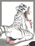 anthro butt facial_markings feet female fish_in_mouth fur head_markings kneeling looking_back markings mouth_hold neck_tuft nude pink_feet rear_view simple_background solo striped_body striped_fur striped_markings striped_tail stripes tail tail_markings tuft whiskers tsampikos dreamworks kung_fu_panda master_tigress felid fish mammal marine pantherine tiger 2022 absurd_res digital_media_(artwork) hi_res