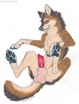 4_toes anatomically_correct anatomically_correct_genitalia anatomically_correct_penis animal_genitalia animal_penis balls black_pawpads brown_body brown_fur canine_genitalia canine_penis claws countershade_torso countershading digitigrade erection feet feral finger_claws fur genitals hindpaw knot knot_in_sheath looking_at_viewer male pawpads paws penis presenting presenting_penis quadruped sheath simple_background solo spread_legs spreading text toe_claws toes white_background yellow_eyes toots karn_(karn_the_wolf) canid canine canis mammal wolf 2021 colored_pencil_(artwork) colored_sketch dated hi_res signature sketch traditional_media_(artwork) url