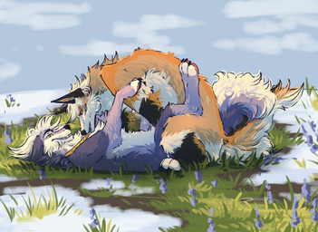 anal anal_penetration bared_teeth bite collar collar_in_mouth collar_pull duo ear_piercing feral feral_on_feral feral_penetrated feral_penetrating feral_penetrating_feral flower from_front_position fur grass intraspecies looking_pleasured lying male male/male male_penetrated male_penetrating male_penetrating_male obscured_penetration on_back outside penetration piercing plant purple_body purple_eyes purple_fur sex snow spring teeth white_body white_fur yellow_collar yellow_eyes arssyarts arssy canid canine fox mammal hi_res