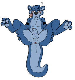 anthro anus balls blush drunk erection feet foreskin genitals humanoid_genitalia humanoid_penis male partially_retracted_foreskin penis presenting simple_background solo substance_intoxication tail tail_anus tattoo tongue tongue_out white_background rotten_robbie robbie_(rotten_robbie) mammal mustelid otter digital_media_(artwork) flat_colors hi_res
