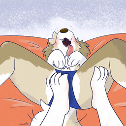 ambiguous_gender anthro clitoral clothed clothing duo feet female female/ambiguous foot_fetish foot_play footjob looking_pleasured panties partially_clothed sex tongue tongue_out underwear vaginal vixeyhuskybutt gracie_(vixeyhuskybutt) bird_dog canid canine canis domestic_dog golden_retriever hunting_dog mammal retriever 1:1 hi_res