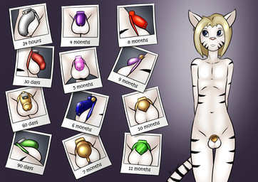 anthro balls black_stripes blonde_hair chastity_cage chastity_cage_only chastity_device chastity_device_only femboy flat_chastity_cage front_view genitals genitals_shrinking gold_(metal) gold_chastity_cage gold_chastity_device hair hands_behind_back lock long_term_chastity looking_aside male markings navel nub_chastity_cage nude padlock penis penis_shrinking photo pink_chastity_cage pink_nose progression simple_background solo standing striped_body striped_markings striped_tail stripes tail tail_markings text time_lapse wearing_chastity_cage wearing_chastity_device white_body danaume felid hybrid liger lion mammal pantherine 2022 english_text