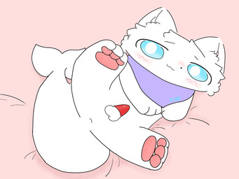 anal anthro blue_eyes dolphin_tail genitals male penis pink_bed pink_paws pink_penis purple_scarf scarf simple_background small_penis solo white_body young sian_duck liuu_(sian_duck) aquatic cetacean dolphin dolphin_cat domestic_cat felid feline felis mammal toothed_whale 4:3 absurd_res hi_res