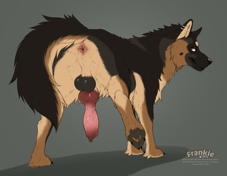 anatomically_correct anatomically_correct_anus anatomically_correct_genitalia anatomically_correct_penis animal_genitalia animal_penis anus balls butt canine_genitalia canine_penis claws ear_piercing erection feral genitals knot knotted_penis looking_at_viewer looking_back looking_back_at_viewer male male_feral pawpads penis piercing presenting presenting_anus presenting_hindquarters raised_tail rear_view smile solo tail text fenn.perrox nathan_(yourstandardmutt) canid canine canis domestic_dog german_shepherd herding_dog mammal pastoral_dog english_text hi_res url