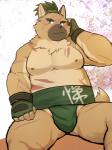 anthro belly biped black_nose blush brown_body brown_fur fur humanoid_hands kemono male moobs nipples overweight overweight_anthro overweight_male scar sitting solo sumo sirius_hoshi_s lifewonders tokyo_afterschool_summoners yasuyori_(tas) canid canine canis domestic_dog mammal 2020 3:4 hi_res