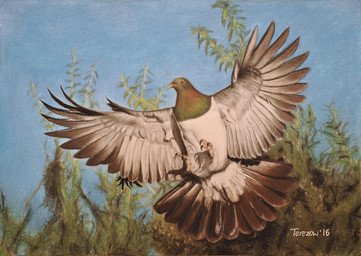 ambiguous_gender black_body black_feathers blue_sky detailed_background detailed_feathers feathers feet feral green_body green_feathers grey_body grey_feathers multicolored_body multicolored_feathers outside realistic realistic_feral sky solo spread_wings tail tail_feathers talons toes white_body white_feathers wings midnight-creations avian bird columbid kereru 2016 detailed pastel_(artwork) traditional_media_(artwork)