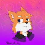 anthro male simple_background smile smirk solo text novaarts noa_(novaarts) canid canine fox mammal 1:1 digital_media_(artwork) english_text hi_res