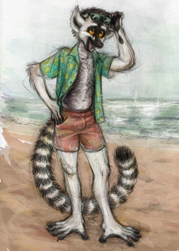 anthro barefoot beach belly belly_tuft black_markings bottomwear chest_tuft claws clothed clothing ear_tuft eye_markings eyewear eyewear_on_head facial_markings feet fluffy_ears fur hair head_markings jewelry male markings multicolored_hair navel necklace open_clothing open_mouth open_shirt open_topwear opposable_toe orange_eyes pattern_clothing pattern_shirt pattern_topwear pendant sand sea sharp_teeth shirt short_hair shorts smile solo striped_markings striped_tail stripes sunglasses sunglasses_on_head tail tail_markings teeth teeth_showing tongue toothcomb topwear tuft two_tone_hair water white_body white_fur jacqal hybrid lemur mammal primate ring-tailed_lemur sifaka strepsirrhine 2025 absurd_res colored colored_sketch digital_media_(artwork) graphite_(artwork) hi_res mixed_media painting_(artwork) sketch traditional_media_(artwork)