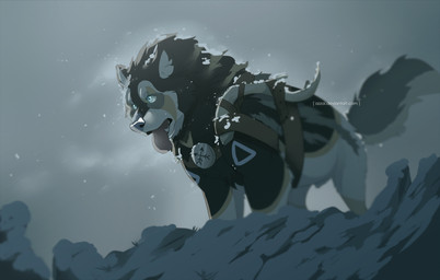 black_body black_fur blue_eyes fangs feral fur inner_ear_fluff male markings multicolored_body multicolored_fur open_mouth outside pink_tongue snow snow_on_fur snowing solo standing tail teeth tongue tongue_out tuft white_body white_fur yellow_markings azzai canid canine canis domestic_dog mammal 2016 colored digital_drawing_(artwork) digital_media_(artwork) shaded