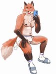 anthro black_nose blue_cellphone briefs brown_body brown_fur cellphone clogs clothed clothing electronics footwear fur male navel nipples open_mouth orange_body orange_fur pantsless phone simple_background smile socks solo tan_body tan_fur teeth_showing tighty_whities tongue_showing topless underwear white_background white_briefs white_clothing white_footwear white_socks white_underwear drdalefox canid canine fox mammal hi_res signature