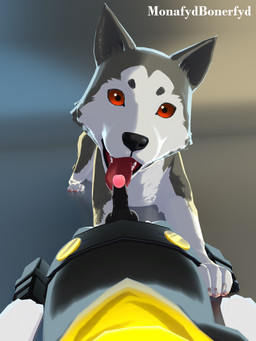 albino anthro anthro_on_feral bestiality duo fellatio feral male male/male oral penile sex smile smiling_at_viewer tongue tongue_out monafydbonerfyd atlus megami_tensei persona_(series) persona_3 persona_5 sega koromaru morgana_(persona) canid canine canis domestic_dog felid feline mammal shiba_inu spitz absurd_res hi_res