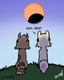 anthro duo eclipse eyewear fur grass humor looking_up multicolored_body multicolored_fur outside plant purple_body purple_fur simple_background sky solar_eclipse sun sunglasses sunglasses_on_face tail tan_body tan_fur text wearing_sunglasses white_body white_fur borealhao lamapola rye_(lamapola) vinea_(lamapola) domestic_ferret mammal mustelid musteline procyonid raccoon true_musteline weasel 2024 4:5 dated english_text hi_res signature