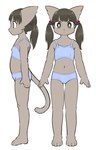 anthro black_hair blue_bra blue_clothing blue_panties blue_underwear bra clothed clothing female fur grey_body grey_fur hair midriff navel panties solo training_bra underwear underwear_only young young_anthro yonsai hiraragi_akane domestic_cat felid feline felis mammal hi_res model_sheet