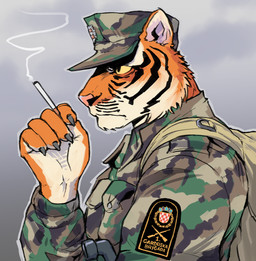 anthro army_hat army_uniform backpack black_body black_fur black_stripes camo camo_clothing camo_print cheek_tuft chin_tuft cigarette cigarette_smoke claws clothing coat_of_arms coat_of_arms_of_croatia ears_up facial_markings facial_tuft flashing fur hat head_markings headgear headwear holding_cigarette holding_object looking_aside male markings military_uniform multicolored_head orange_body orange_fur outline patch_(fabric) pattern_clothing pink_nose side_view smoke solo striped_face stripes text tuft uniform white_body white_fur white_palms yellow_eyes yellow_sclera fanteliscio felid mammal pantherine tiger 2024 croatian_text digital_drawing_(artwork) digital_media_(artwork) hi_res shaded