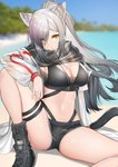 beach big_breasts blurred_background boots bottomwear breasts cleavage clothed clothing day female footwear grey_hair hair long_hair navel outside seaside shoes shorts sitting solo water yellow_eyes kemo_neko arknights hypergryph studio_montagne schwarz_(arknights) animal_humanoid felid felid_humanoid humanoid mammal mammal_humanoid 2020 absurd_res digital_media_(artwork) hi_res shaded