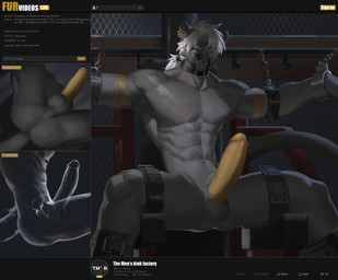 abs anthro arms_tied balls bdsm bladder blue_eyes bondage bound cutaway ear_piercing ear_ring erection front_view fully_bound fur genitals grey_balls grey_body grey_fur hair humanoid_genitalia humanoid_penis internal legs_tied looking_at_viewer low-angle_view male male_anthro muscular muscular_anthro muscular_male muzzle_(object) muzzled nude organs pecs penis piercing prostate ring_piercing side_view solo spread_legs spreading text urethra urethral_sphincters urethral_sphincters_relaxing white_hair worm's-eye_view x-ray_view yellow_penis awaldkize felid mammal absurd_res english_text hi_res
