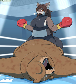 anthro black_clothing black_topwear bodily_fluids bottomwear boxing boxing_gloves bra clothing defeat defeated female fighting_ring handwear inner_ear_fluff male male/female pants sport sports_bra tears topwear tuft unconscious underwear yoga_pants hisashino kira_(restluck) bear brown_bear canid canine canis mammal ursine wolf absurd_res hi_res