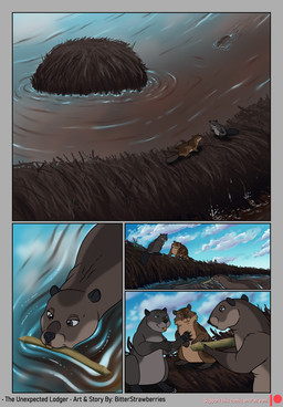 beaver_tail brown_body brown_fur dam day fur grey_body grey_fur stick swimming text water bitterstrawberries atlas_(bitterstrawberries) husq_(bitterstrawberries) kobalt_(bitterstrawberries) beaver mammal rodent comic english_text hi_res daughter_(lore) father_(lore) father_and_child_(lore) father_and_daughter_(lore) parent_(lore) parent_and_child_(lore) parent_and_daughter_(lore)