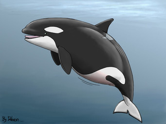 cetacean dolorcin female feral mammal marine orca unbirthing vore whale
Rating: Explicit
Score: 3
User: chdgs
Date: December 23, 2010 cetacean dolorcin female feral mammal marine orca unbirthing vore whale
Rating: Explicit
Score: 3
User: chdgs
Date: December 23, 2010