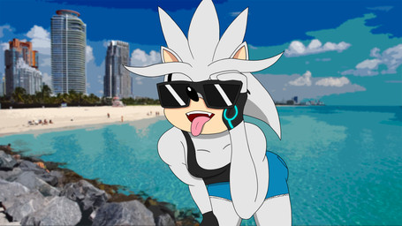 anthro beach bottomwear clothed clothing crop_top daisy_dukes denim denim_bottomwear denim_clothing denim_shorts eyewear fingerless_gloves fur gloves grey_body grey_fur handwear hotpants male nipple_outline open_mouth shirt shorts solo sunglasses tongue tongue_out topwear drreverb sega sonic_the_hedgehog_(series) silver_the_hedgehog eulipotyphlan hedgehog mammal cel_shading hi_res shaded