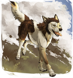 ambiguous_gender black_nose brown_body brown_fur feral fur grass open_mouth outside plant solo tan_body tan_fur tongue tongue_out white_body white_fur yellow_eyes msdeadsoul canid canine mammal 2021 dated