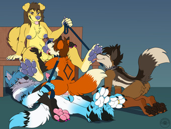 all_fours anal anal_penetration animal_genitalia animal_penis anthro balls blep breasts canine_genitalia canine_penis chest_tuft collar eyes_closed feet fluffy fluffy_tail foot_fetish foot_lick genitals group group_sex gynomorph hair handjob intersex knot knotted_penis leash leashed_collar licking lying male male/male male_penetrated male_penetrating male_penetrating_male on_back oral pawpads penetration penile penile_penetration penis penis_in_ass penis_lick raised_tail sex sitting smile tail tongue tongue_out tuft carifoxleopard canid canine canis domestic_dog fox mammal