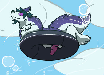 animal_genitalia animal_penis anthro balls canine_genitalia canine_penis erection fur genitals inflatable knot male nude penis pool_toy purple_eyes smile solo star swim_ring water white_body white_fur trout_(artist) canid canine canis domestic_dog husky mammal nordic_sled_dog spitz 11:8 2016 aliasing digital_media_(artwork)