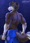 5_fingers anthro athletic athletic_anthro athletic_male back_muscles biceps black_body black_fur black_hair black_nose blue_bottomwear blue_clothing blue_highlights blue_shorts bottomwear butt clothed clothing exercise fingers floppy_ears fur furgonomics grin hair highlights_(coloring) humanoid_hands looking_at_viewer looking_back looking_back_at_viewer male multicolored_body multicolored_fur muscular muscular_anthro muscular_male pose shorts smile solo teeth text topless topless_male two_tone_body two_tone_fur weightlifting weights white_body white_fur workout yellow_eyes biggoodwolf littlebadwolf mason_(trivolmckenley) border_collie canid canine canis collie domestic_dog herding_dog mammal pastoral_dog sheepdog 2020 digital_media_(artwork) pinup portrait signature three-quarter_portrait url