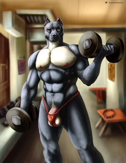 abs anthro balls biceps biting_on_toothpick bulge clothed clothing exercise flaccid front_view genitals grey_body inside looking_at_viewer male male_anthro mouth_closed muscular muscular_anthro muscular_male pecs penis pink_penis red_eyes solo standing toothpick topless vein veiny_arms veiny_muscles veiny_penis weightlifting workout yellow_balls yellow_body satanic_monkey canid canine canis domestic_dog mammal hi_res portrait three-quarter_portrait