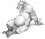 anatomically_correct anatomically_correct_penis animal_genitalia bear blotch chubby claws eyes_closed greyscale hindpaw male mammal monochrome open_mouth pawpads paws penis plain_background realistic reclining solo white_background
Rating: Explicit
Score: 9
User: Vinea
Date: April 21, 2014