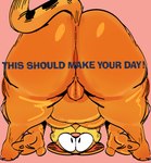 anthro anus backsack balls bent_over big_butt butt fur genitals huge_butt looking_through looking_through_legs male orange_background orange_body orange_fur simple_background slightly_chubby slightly_chubby_anthro slightly_chubby_male smile text thick_thighs wide_eyed wide_hips gat0pussy24 garfield_(series) garfield_the_cat domestic_cat felid feline felis mammal english_text