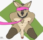 anthro balls bdsm blindfold bondage bound collar fur genitals male nipples nude penis simple_background solo submissive delta_dewitt beastars durham_(beastars) canid canine canis coyote mammal digital_media_(artwork) hi_res