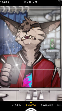 anthro bathroom black_body black_clothing black_fur black_nose black_stripes black_topwear camera_view cheek_tuft clothed clothing facial_tuft fangs front_view fur grey_body grey_fur head_tuft inside jacket male narrowed_eyes one_eye_closed open_mouth orange_eyes pattern_clothing pattern_topwear red_clothing red_jacket red_topwear selfie solo striped_body striped_fur stripes teeth text topwear tuft yellow_sclera acidic cid_(acidic) domestic_cat felid feline felis mammal english_text half-length_portrait hi_res portrait