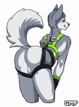 anthro bare_butt female genitals harness mooning pussy solo tail gasmaskfox sasha_(gasmaskfox) canid canine canis domestic_dog husky mammal nordic_sled_dog siberian_husky spitz 2022 digital_media_(artwork) hi_res