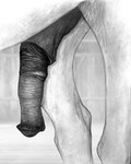 animal_genitalia animal_penis equine_genitalia equine_penis equine_sheath eunuch feral genital_focus genital_shot genitals half-erect male penis penis_shot quadruped realistic_feral sheath solo darkmare equid equine horse mammal 4:5 graphite_(artwork) greyscale hi_res monochrome traditional_media_(artwork)