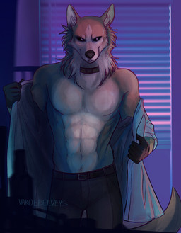 anthro belt black_nose blinds bottomwear clothing collar fur gloves grey_body grey_fur handwear inside male muscular muscular_male pants solo undressing white_body white_fur vako_edelveys brand_new_animal studio_trigger shirou_ogami canid canine canis mammal wolf hi_res