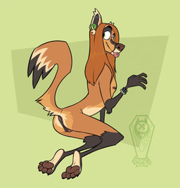 andromorph anthro anus arm_tuft blep bracelet brown_pawpads butt ear_piercing ear_ring ear_tuft elbow_tuft fur genitals green_background grey_body grey_fur hair humanoid_genitalia humanoid_vulva intersex jewelry kneeling long_hair looking_at_viewer looking_back looking_back_at_viewer nude one_ear orange_body orange_fur pawpads paws piercing ring_piercing simple_background solo studded_bracelet studded_jewelry studs tongue tongue_out tongue_piercing tuft vulva wide_eyed cadaverrdog charlie_(cadaverrdog) canid canine mammal maned_wolf hi_res trans_(lore) trans_man_(lore)