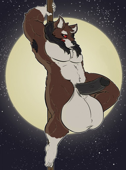anthro armpit_hair balls barazoku big_balls body_hair erection fur genitals huge_balls hyper hyper_balls hyper_genitalia male moon muscular muscular_anthro muscular_male penis pole slightly_chubby solo impaledwolf canid canine canis mammal wolf hi_res