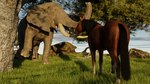 balls duo erection feral genitals male male/male outside penis presenting realistic_feral teasing trunk tusks nicobay_(artist) elephant elephantid equid equine horse mammal proboscidean 16:9 3d_(artwork) 4k absurd_res blender_(artwork) digital_media_(artwork) hi_res widescreen