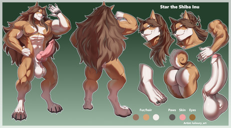 abs animal_genitalia animal_penis anthro balls butt canine_genitalia canine_penis digitigrade erection foreskin genitals hair humanoid_genitalia humanoid_penis knot long_hair male muscular muscular_anthro muscular_male nude pecs penis plantigrade solo luiixury star_the_shiba_inu canid canine canis domestic_dog mammal shiba_inu spitz 2025 absurd_res hi_res model_sheet