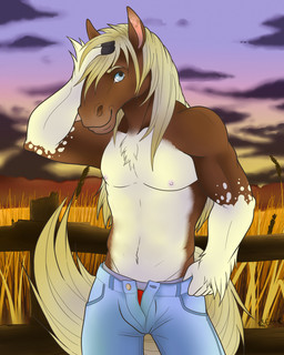 abs anthro biceps biped blonde_hair blue_eyes bottomwear clothed clothing denim denim_bottomwear denim_clothing feathering fence field fur hair hand_on_head jeans looking_at_viewer male muscular muscular_anthro muscular_male nipples open_bottomwear open_clothing open_pants outside pants pecs pose sky smile solo standing sunset topless lucky_cai bruce_rayner equid mammal 2014 4:5 absurd_res hi_res