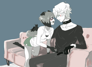 anthro barefoot belt blue_eyes blush bottomwear breasts clothed clothing collar duo feet female fluffy fluffy_tail fur furniture gloves gloves_(marking) hair handwear male male/female markings open_belt open_mouth shirt short_hair shorts sitting sofa tail tank_top topwear osnach_kristina brand_new_animal studio_trigger michiru_kagemori shirou_ogami canid canine human mammal raccoon_dog tanuki 2020 hi_res