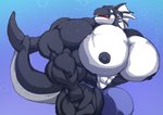 anthro big_bulge big_muscles big_pecs black_nipples blue_eyes bulge clothed clothing horn huge_bulge huge_muscles huge_pecs hyper hyper_bulge hyper_muscles hyper_pecs male multicolored_body multicolored_skin muscular muscular_anthro muscular_male nipples open_mouth pecs sharp_teeth solo tail teeth underwear underwear_only panscolipede mythology marjask cetacean dolphin dragon hybrid mammal marine mythological_creature mythological_scalie oceanic_dolphin orca scalie toothed_whale 2020 hi_res